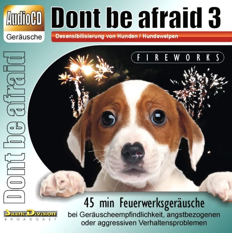 Silvester mit Hund - So kommt dein Hund ohne Angst vor Knallern ins